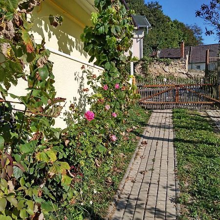 Lately Renovated Country House Trenčín Buitenkant foto