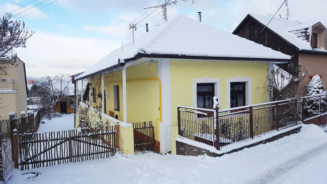 Lately Renovated Country House Trenčín Buitenkant foto