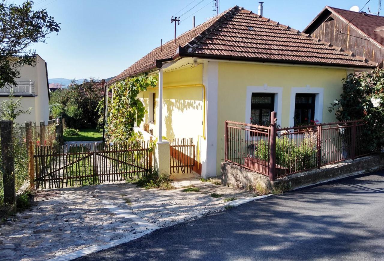Lately Renovated Country House Trenčín Buitenkant foto