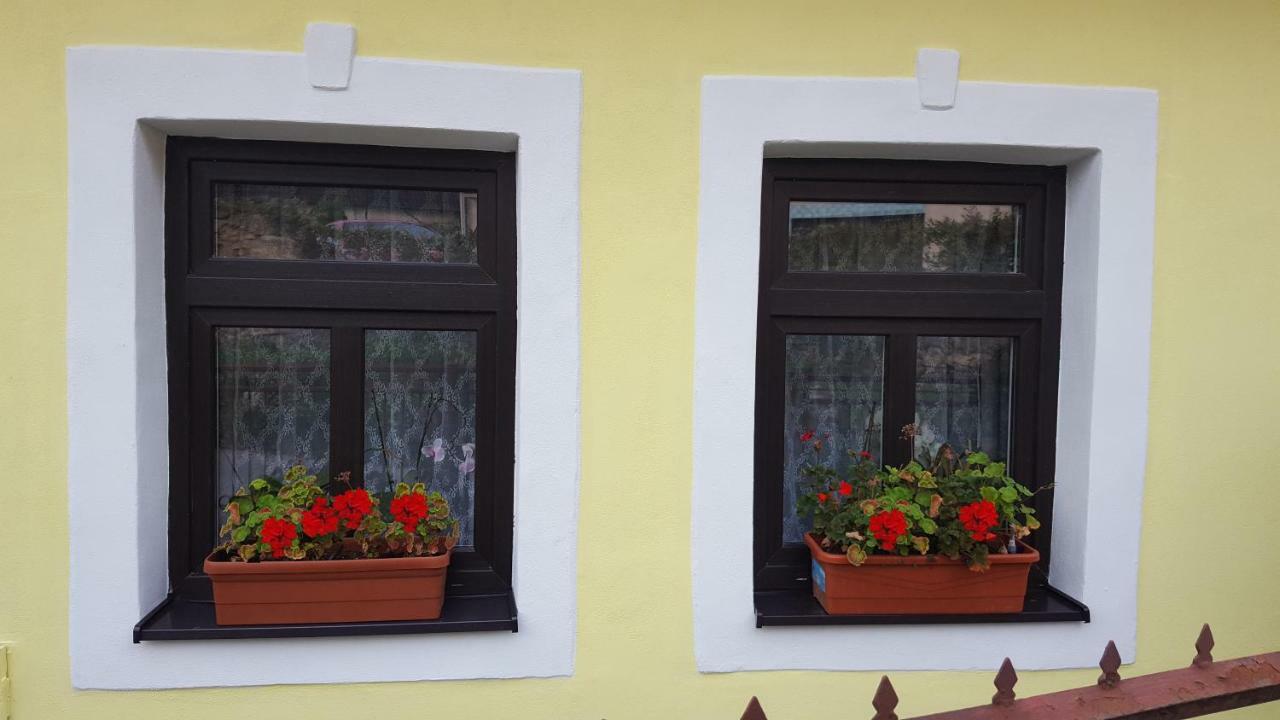 Lately Renovated Country House Trenčín Buitenkant foto
